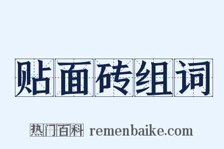 贴面砖组词是什么意思的图片